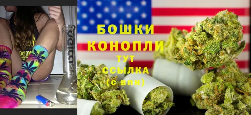 где найти   Солигалич  Конопля Ganja 